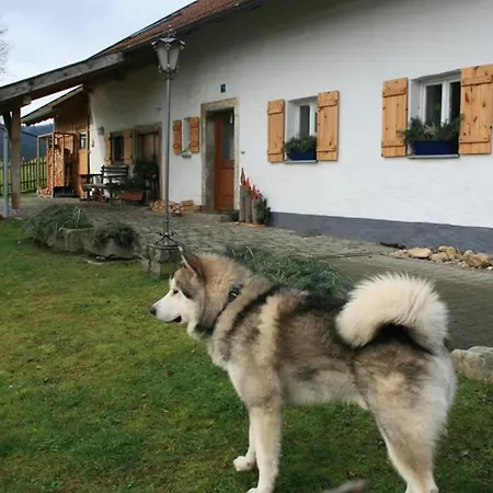 Winter Holiday home Blaibach